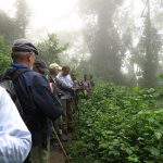 Rubuguri Village Walk in Bwindi