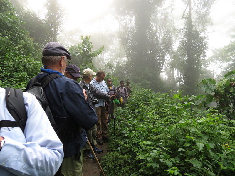 Read more about the article Rubuguri Village Walk in Bwindi