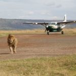 Flying safaris in Uganda