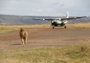 Read more about the article Flying safaris in Uganda