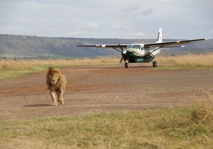 Flying safaris in Uganda