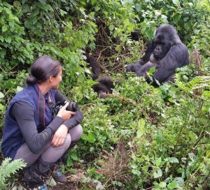 Read more about the article How is Gorilla Trekking in DR Congo right now?