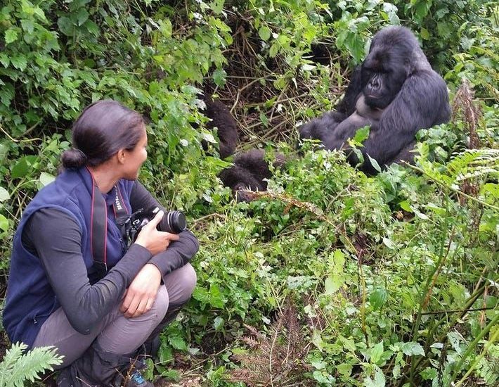 How is Gorilla Trekking in DR Congo right now?