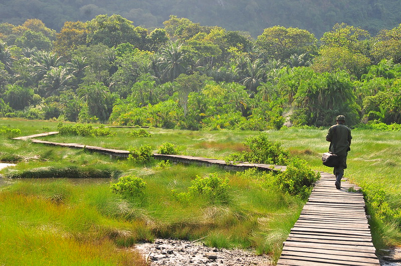 You are currently viewing Nature Walks in Uganda