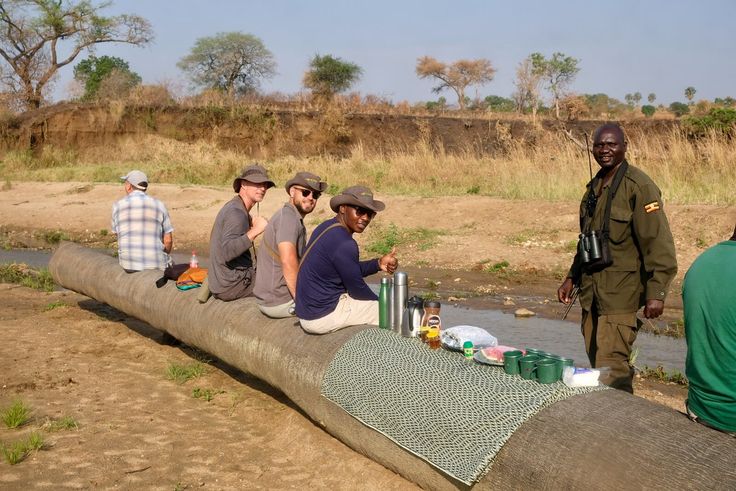 Hiking and Guided Nature Walks in Murchison Falls