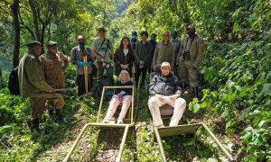 Read more about the article How to Plan Gorilla Trekking for Older Travelers