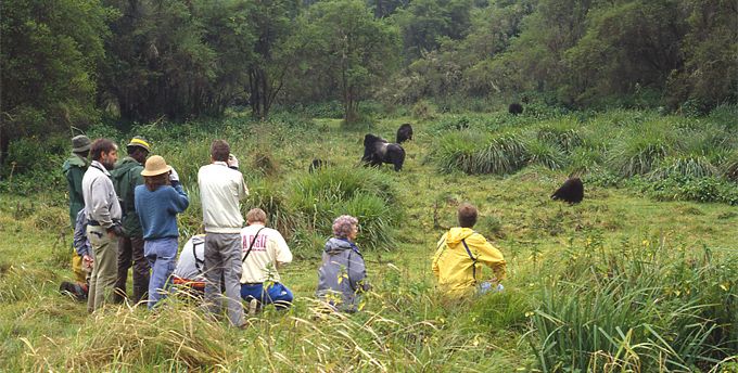 How to plan for your Uganda Safari