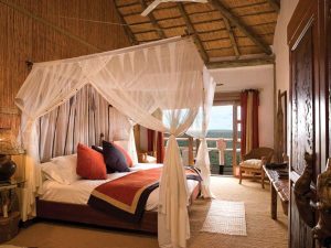 Read more about the article Where to stay when visiting Uganda?