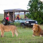 How to Plan a Luxury Safari to Uganda