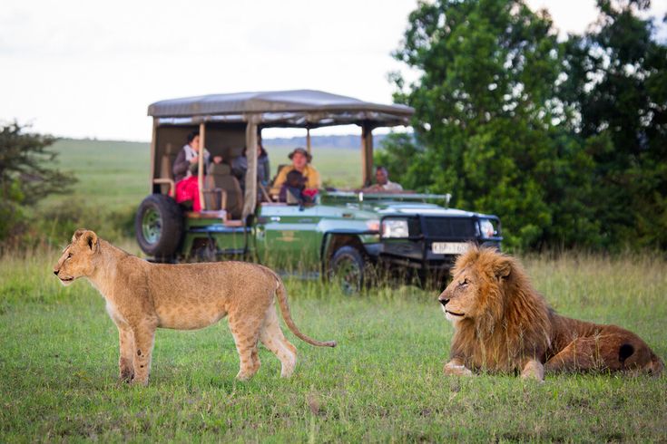 How to Plan a Luxury Safari to Uganda