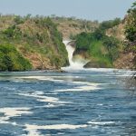 Top Safari Destinations in Northern Uganda