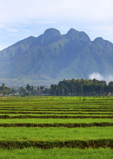 Read more about the article Mount Heha in Burundi