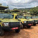 Car Rental and Gorilla Trekking in Uganda