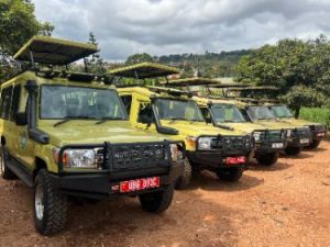 Read more about the article Car Rental and Gorilla Trekking in Uganda