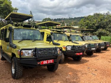 Car Rental and Gorilla Trekking in Uganda