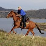 Horse Back Riding in Lake Mburo National Park.