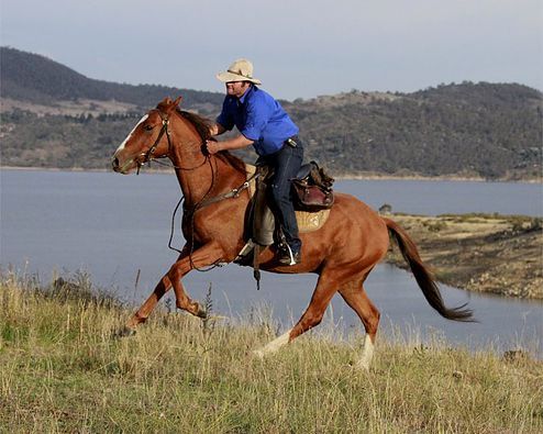 Horse Back Riding in Lake Mburo National Park.