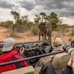 Benefits of Group Tours With Abunda Discoveries Uganda