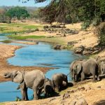 Attractions in Tanzania