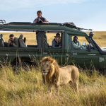 14-Day Kenya and Tanzania Safari.