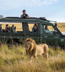 Read more about the article 14-Day Kenya and Tanzania Safari.