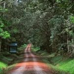 How to Access the Royal Mile from Murchison Falls National Park