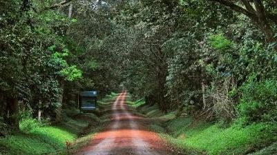 You are currently viewing How to Access the Royal Mile from Murchison Falls National Park