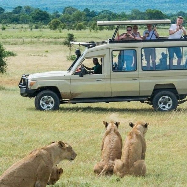 4 Day Tarangire National Park Safari