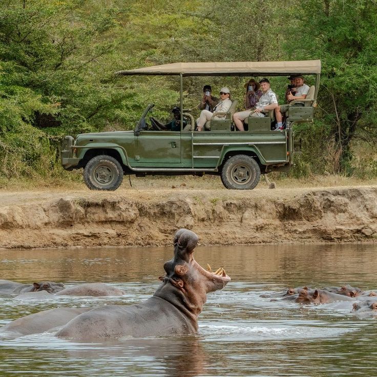 You are currently viewing Best Family Vacation on a Rwanda Wildlife Safari