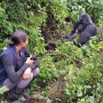 Sustainable Gorilla trekking tours