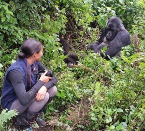 Read more about the article Sustainable Gorilla trekking tours