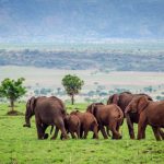 Photo spots on a Uganda Safari.