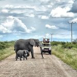 Staying Connected While on Safari.