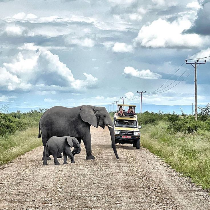 You are currently viewing Staying Connected While on Safari.