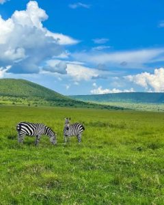 Read more about the article Top 10 Places to Visit in Rwanda