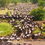 3 Day Serengeti National Park Safari in Tanzania