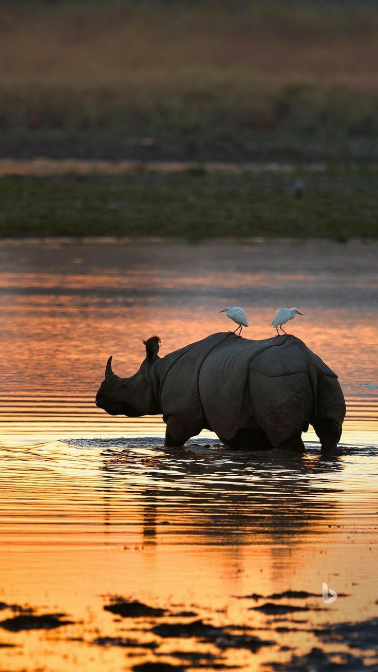 Top 10 Spots for Stunning Wildlife Photography in Uganda