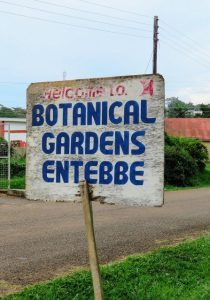 Read more about the article Top Things to Do in Entebbe