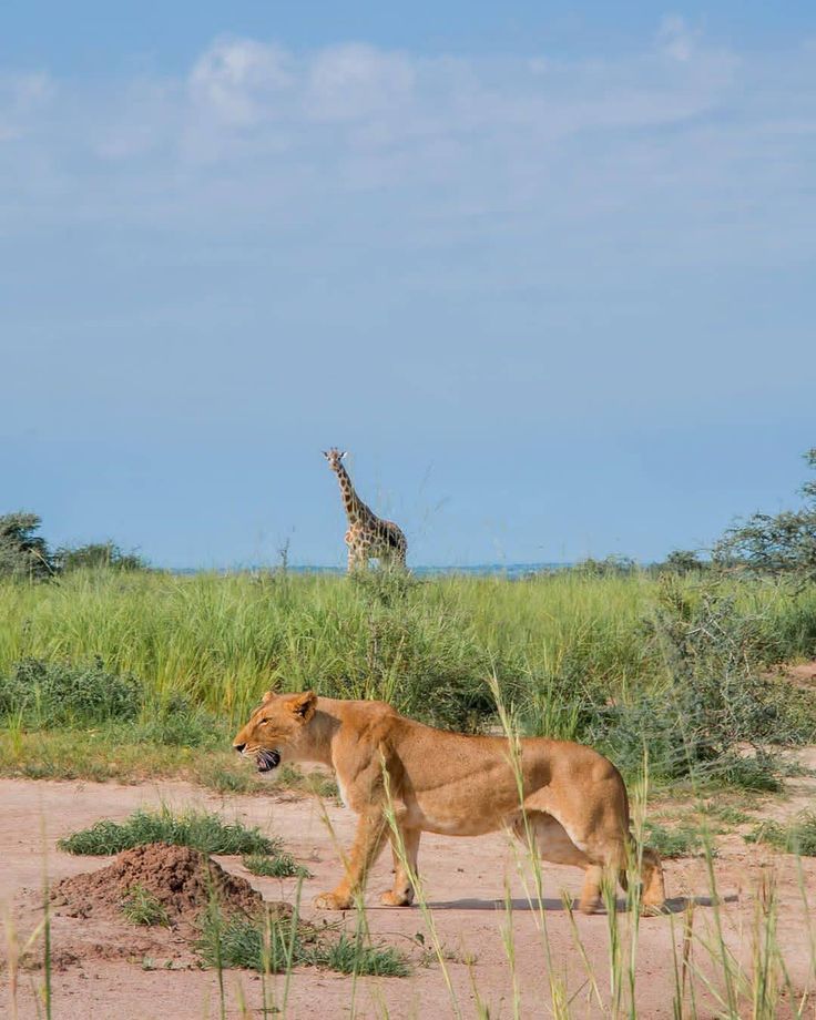 Responsible Travel Matters in Uganda’s National Parks