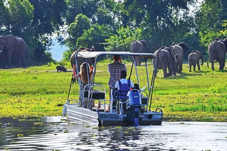 You are currently viewing Uganda Adventure Packages