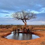 Magical Adventure Holidays in East Africa