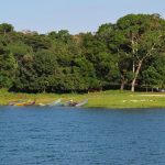 The Ssese Islands on lake Victoria
