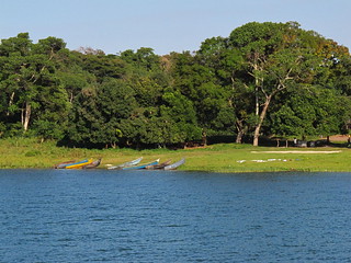 Read more about the article The Ssese Islands on lake Victoria