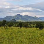 Rwanda Eco-tourism and Conservation