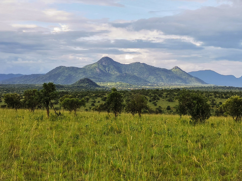 You are currently viewing Kidepo Loyili Summit Hike