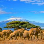  10 Activities in Tanzania