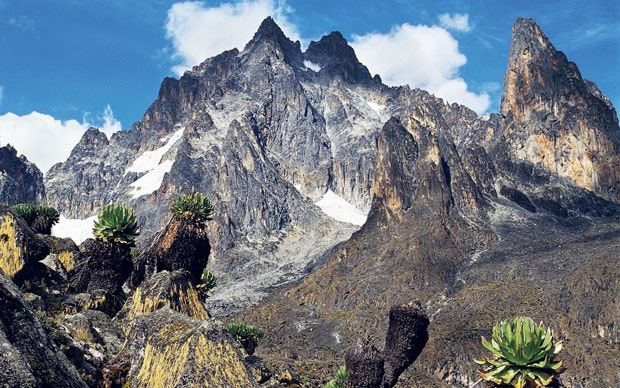 Mountain Kenya National Park