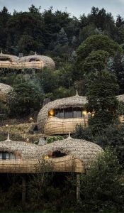 Read more about the article Most Luxurious Safari Lodges in Rwanda 2025