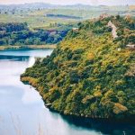 Tips on Planning a Safari to Uganda
