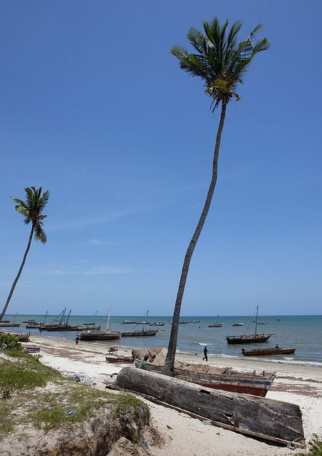 Read more about the article Bagamoyo